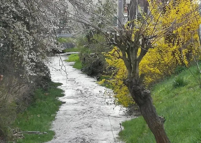 Ferienhaeuschen Mit Ganz Viel Charme Elsarn im Strasserthal